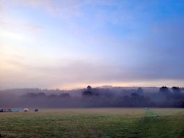 Morning view