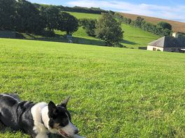 View over field