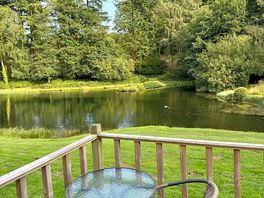 View from the deck