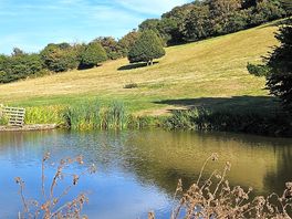 Pond