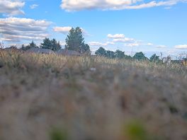 Field view