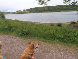 Looking out at the lake.