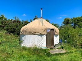 Baby Bear yurt