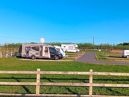 Pitches for the mobilhomes.