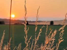 Sunset across the road from the site entrance