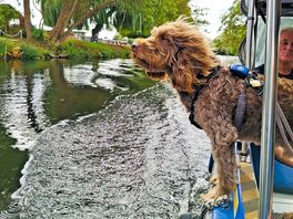 River taxi £3 adult £1 dog
