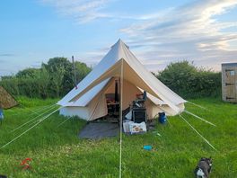 Our pitch