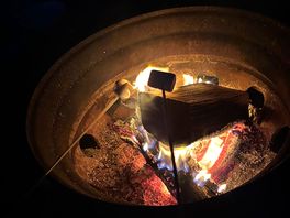 Roasting marshmallows on the fire pit