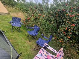 Tent