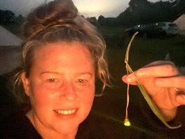 Saw my first glowbug in the surrounding grass at night