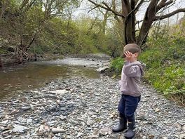 The stream