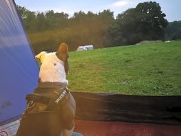 View from the tent