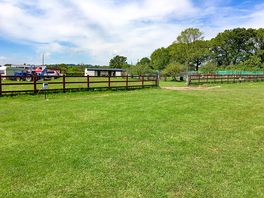 Spacious pitches with electrical hookup points