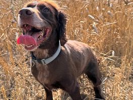 He was one happy boy!