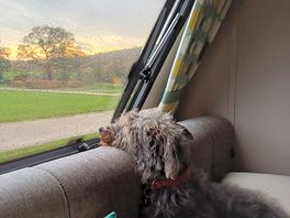 Freya enjoying the views and peace