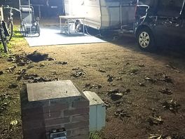 Super bonitas las parcelas