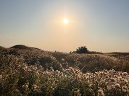 A perfect summer evening