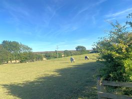 Beautiful views and friendly horses. wonderful way to unwind.