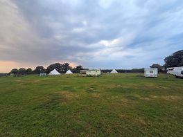 The field