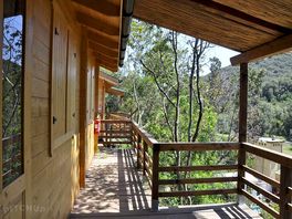 Spacious treehouse terrace