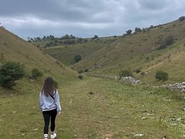 Walk
