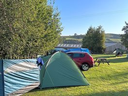 🏕️