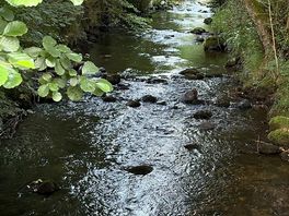 River at entrance