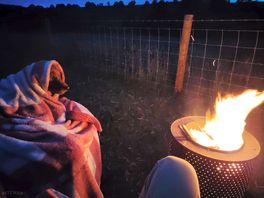Dog fire