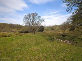 Wonderful walks