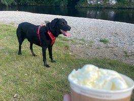 Ice-cream