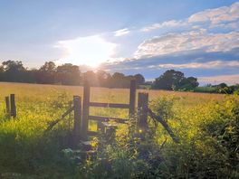 Field next to site to reach cuckoo trail at the bottom