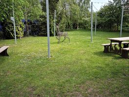 Picnic area