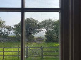 Morning view