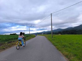 Camino hacia la ermita de la regalina