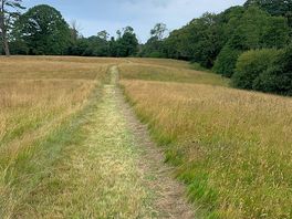 Meadow walk.