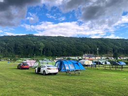 Camp site, woodland behind