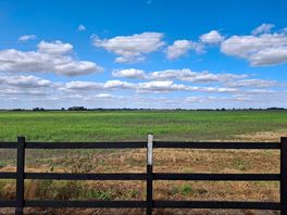 View from our pitch across the fields