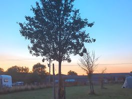 Sunset.