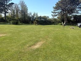 Grass pitch area
