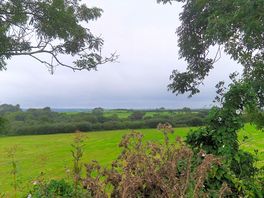 One of the views from our pitch
