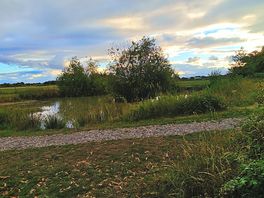 Lake view
