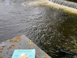 Peaceful reading