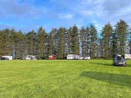 Some of the pitches