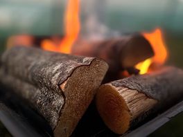 Fire pits allowed