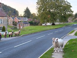 Road sense applied..