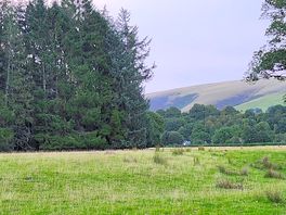 View by campsite