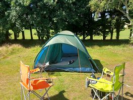 Our pitch