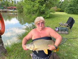 Carp caught in the bottom lake