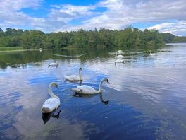 View of the lake