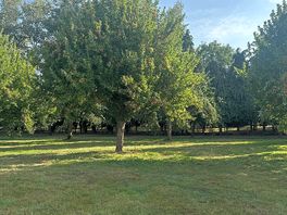 Orchard view